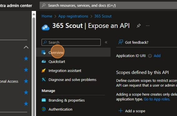 Setting Up 365 Scout with Microsoft Entra | Full Installation Guide
